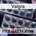 Vaigra 31
